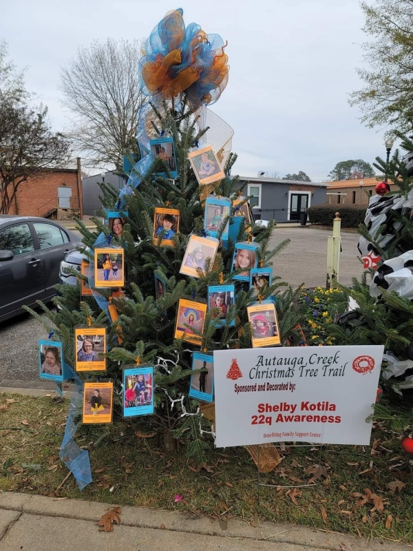 22q_Christmas_Tree.jpg