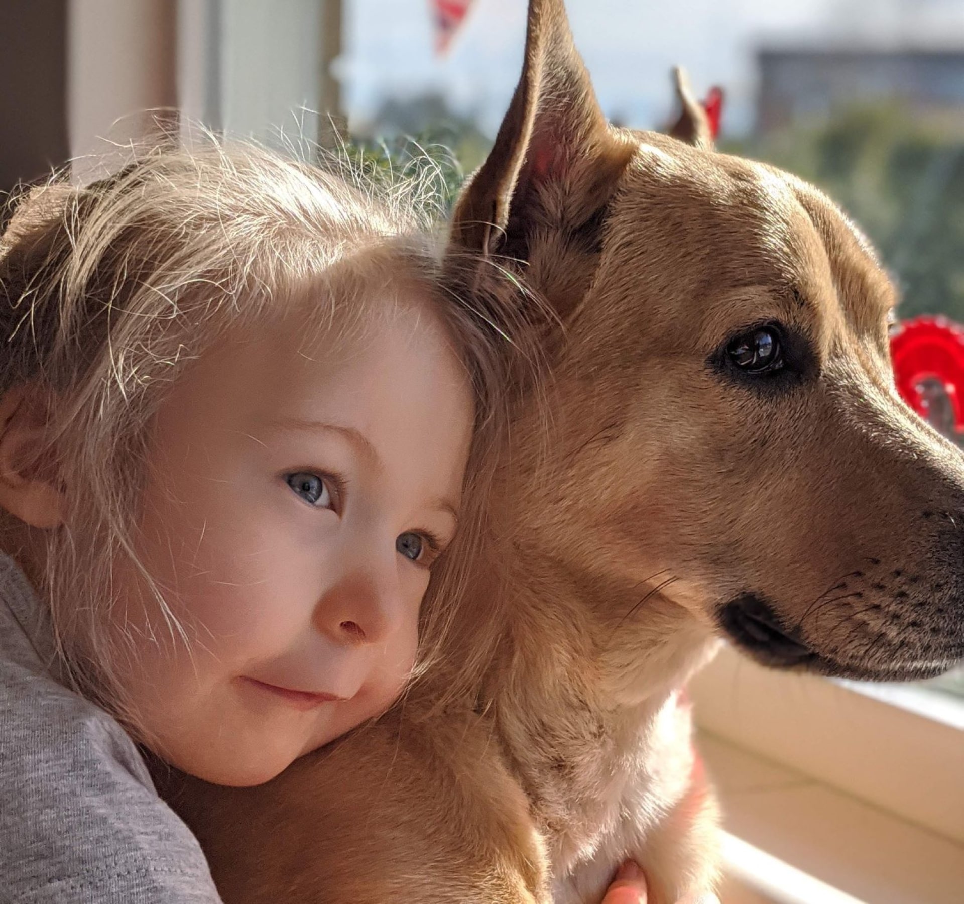Girl and dog