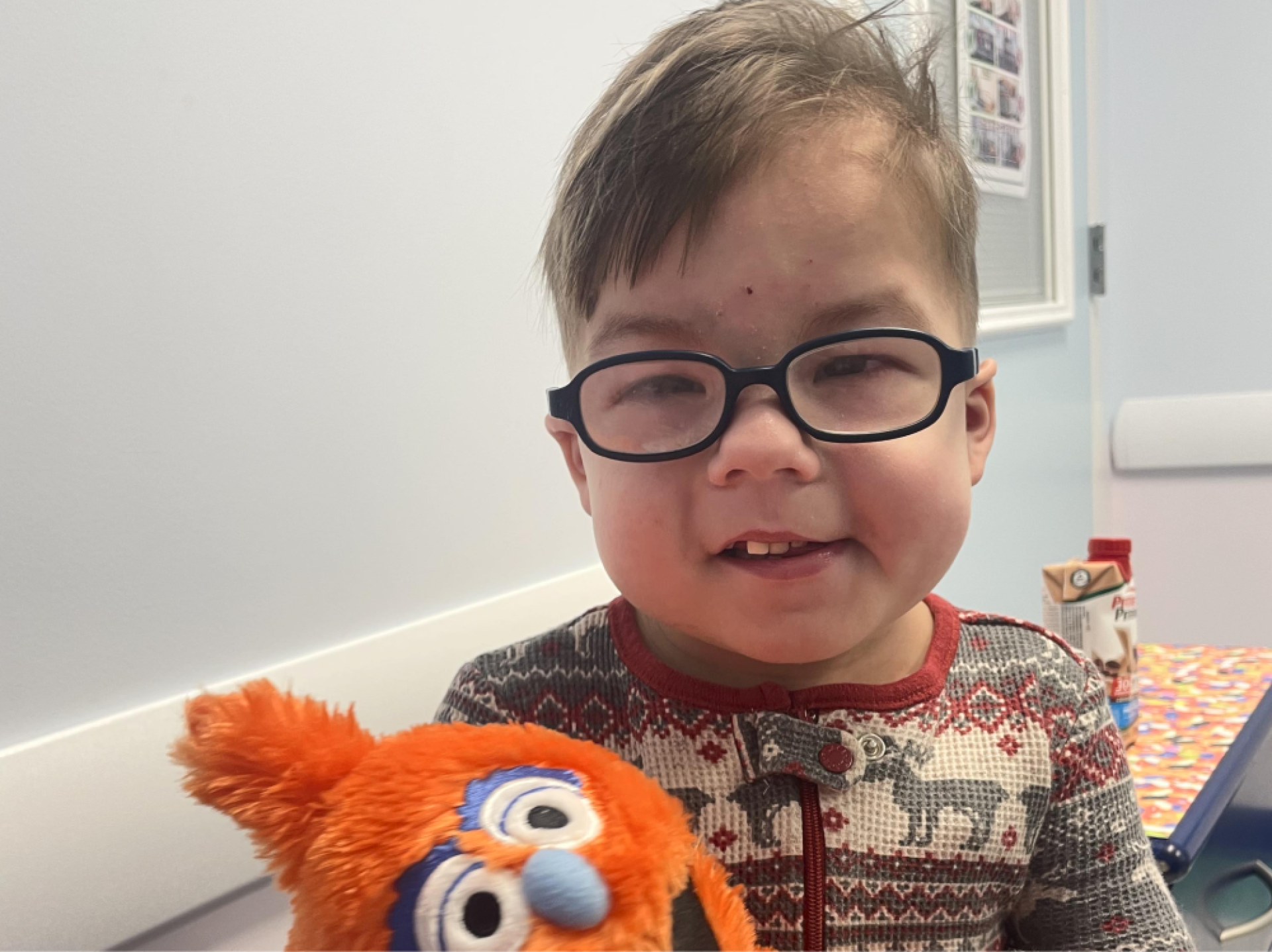 a child holding a stuffed animal