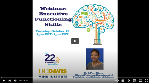 Executive Function Skills: Understanding Challenges, Embracing Opportunities image
